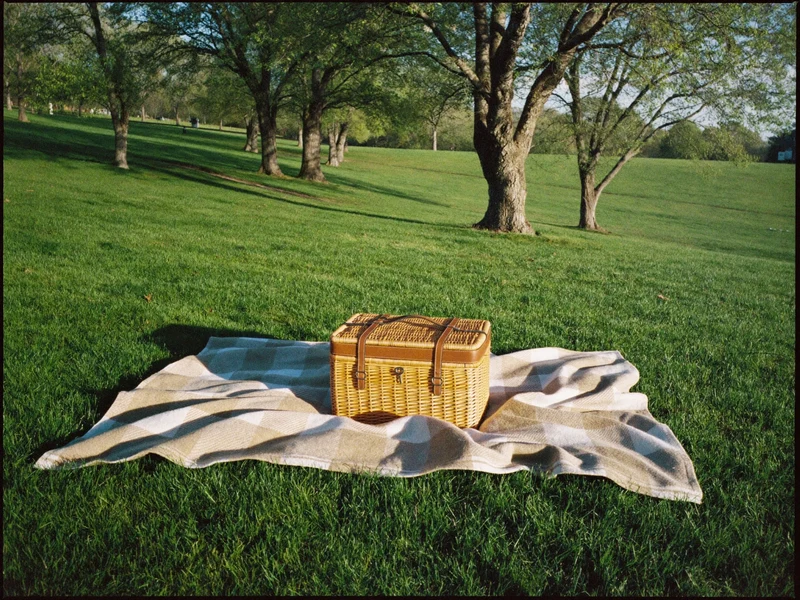 Picnickurv og tæppe på en grøn parkplæne i blødt morgenlys